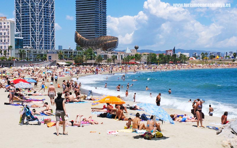  guia platja somorrostro vila olimpica foto gent prenent sol barcelona estiu
