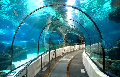  Discover the main tourist attractions of Catalonia. Tourist information about the Barcelona Aquarium.