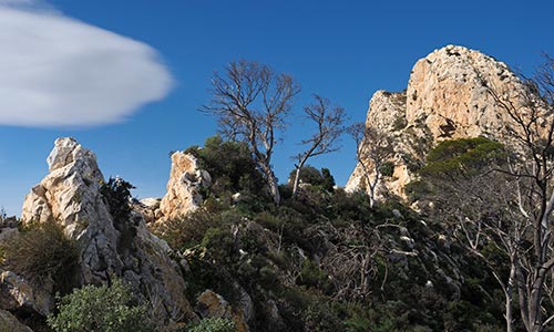 guide sites réserves naturelles catalunya 