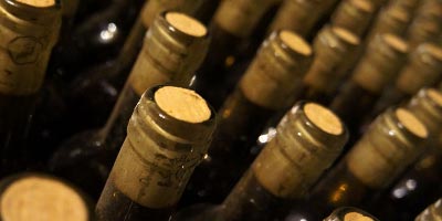 Wine tourism in Catalonia guide best Catalan wines