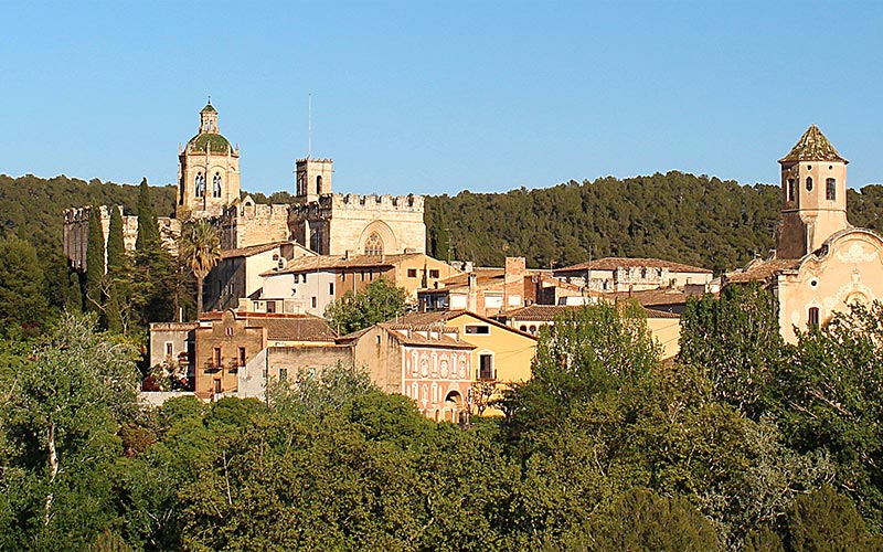 informacion turismo monasterio Santa Maria Santes Creus Aiguamurcia 