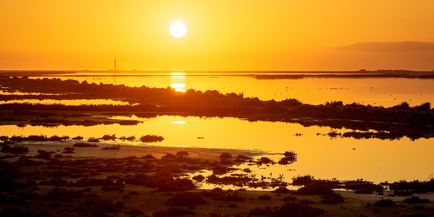 nature park delta ebro tourist information costa dorada sunset